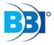 Bosna Bank International